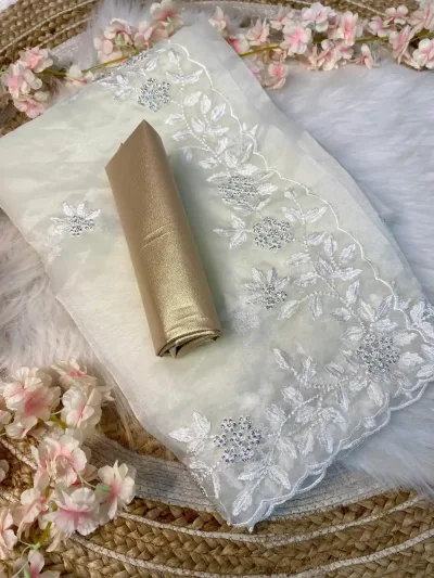 Off-White  All-Over Thread & Siroski Work Organza Saree
